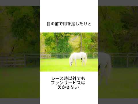 競馬界一のアイドル・ゴールドシップ　#競馬 #馬 #騎手 #競艇 #競輪#雑学