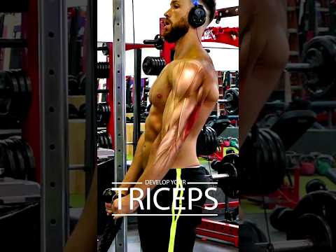 Best Exercise to get Bigger Triceps At-Home