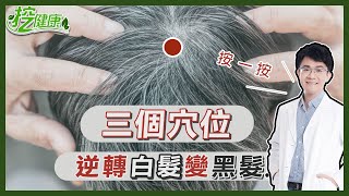 白髮變黑髮 快按這三個穴位 ！ 郭大維中醫師 來教你！【挖健康精華】