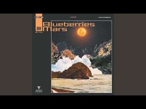 Blueberries on Mars