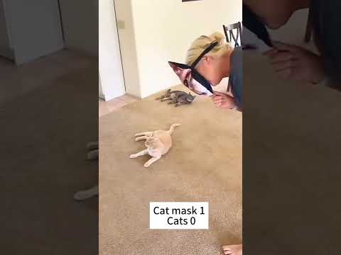 Cat mask prank 😱 #cat #pets #funnypets #funnycats #shorts