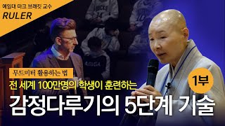 [1부]감정은 기술이다! 예일대 교수가 제안한 감정을 다루는 5단계 기술, 정목스님과 함께 해보세요