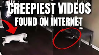 Top 8 Videos of Dogs Catching GHOSTS on Camera #2