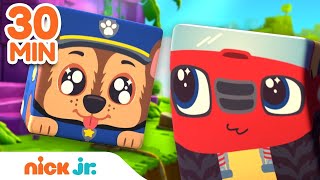 Block Party Treasure Hunt & More Adventures! w/ PAW Patrol | 30 Minute Compilation | Nick Jr.