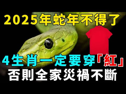 2025年蛇年不得了！這4生肖一定要穿紅色！否則全家災禍不斷！再忙再有錢也要看看！【禪意】#生肖 #運勢 #風水 #財運#命理#佛教 #人生感悟