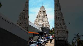 shri venkateshwar ekambhareshwar kanchipuram temple short #saptpuri #temple #harharmahadev