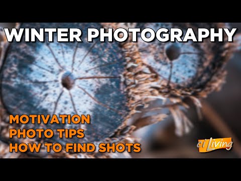 Winter Time Photography Tips