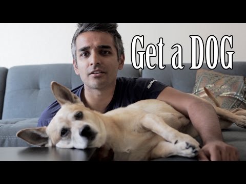 Get A Dog | SANJAY MANAKTALA | RANI MANAKTALA