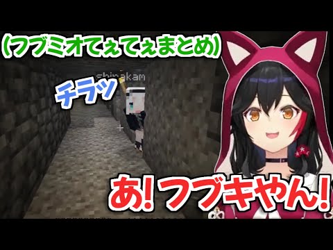 【ホロライブ切り抜き】ホロクラダイヤ発掘隊Day1のフブミオてぇてぇやりとりまとめ【白上フブキ 大神ミオ】