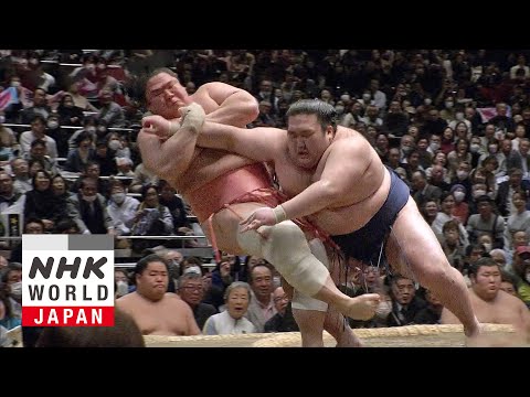 GRAND SUMO: Day 3 of the January 2025 Tournament - GRAND SUMO Highlights