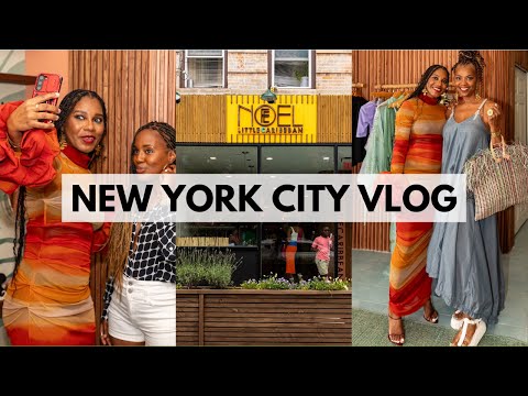 New York City Vlog! My Meet & Greet in Brooklyn, Gift Haul & House Hunting Chat ❤︎ MONROE STEELE