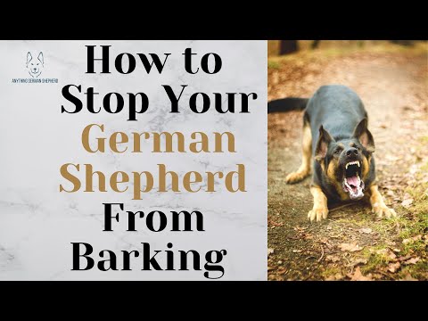 How to Stop Your German Shepherd From Barking