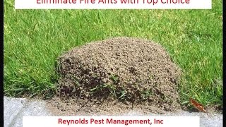 Eliminating Fire Ants with Topchoice