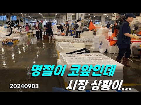 명절이 코앞인데  시장상황이...  9월 3일  노량진 수산시장