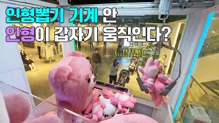 What if Belly surprises people in the claw machine? Hahaha