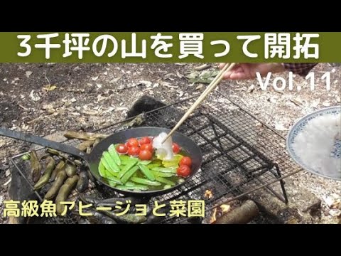 3千坪の山を買って開拓vol.11　高級魚アヒージョと菜園