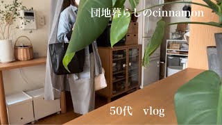 【団地暮らし】あえてお金と時間をかけた事4選 / 仕事を辞めてからの変化 / 50代vlog