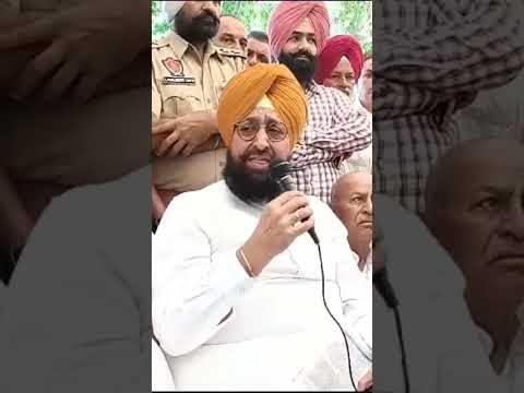 LoP #partapsinghbajwa reach the #1158professors protest #alertnews_hd #latestpunjabnews #punjabnews