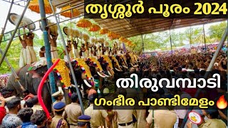 Thrissur Pooram 2024 | Thiruvambadi Desam Pandi Melam🔥| Cheranalloor Sankarankutty Marar