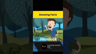 3 top amazing  facts #factvideoinhindi #factvideokaisebanayemobilese