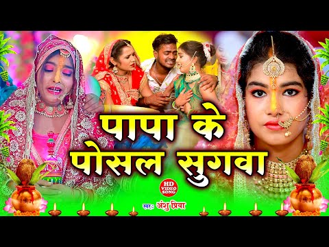 दर्द भरा बेटी विवाह गीत || पापा के दुलारी बेटी रोवेली नयना ढार || Anshu Priya Shadi Vivah Geet