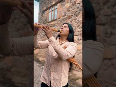 Qhapaq Ñan - Flute #live #music #relax #meditation #inkatrail #soul #ecuador #ruins #sampoña