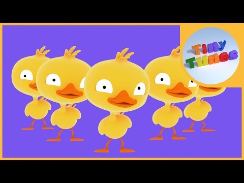 Five little ducks | Counting down from 5 Song | Tiny Tunes