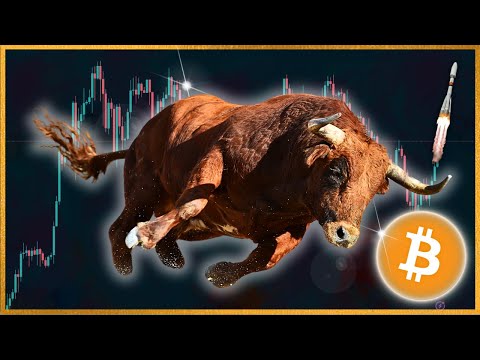 CRYPTO BULL RUN DECODED (2024)