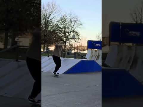 Trick attempt evolution #skateboarding #skatepark #cardioflow #uniqueshorts #youtubeshorts