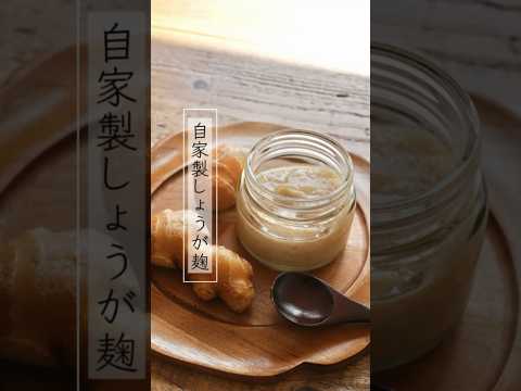 【生姜麹】チューブ生姜の代わりの発酵調味料 #shorts #自家製 #手作り #レシピ #cooking #発酵調味料 #麹 #腸活 #季節の手仕事