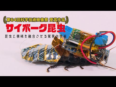 サイボーグ昆虫 ～生物と機械を融合させる驚異の技術～|ガリレオX第278回