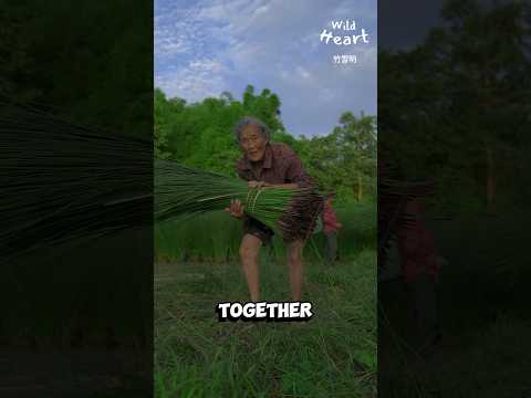 Crafting Traditional Fan From Rush Grass