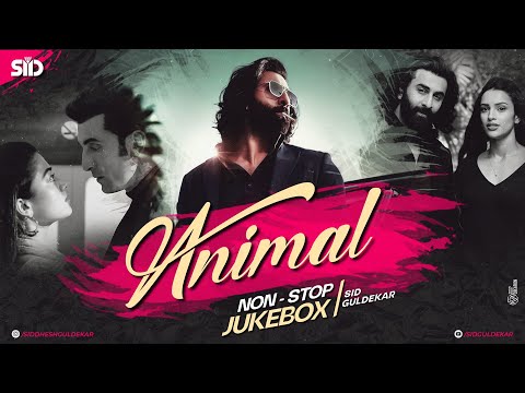 ANIMAL Mashup Nonstop Jukebox | Sid Guldekar | Pehle Bhi Mein | Satranga  VIshal Mishra