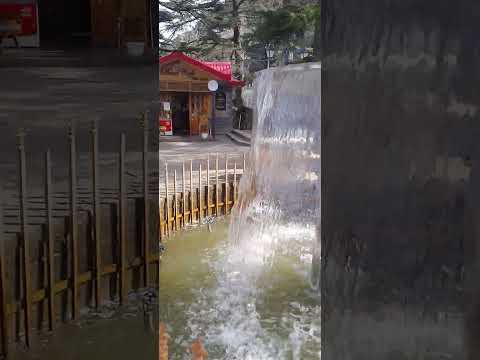 Colourful Ridge shimla#fountain #masti