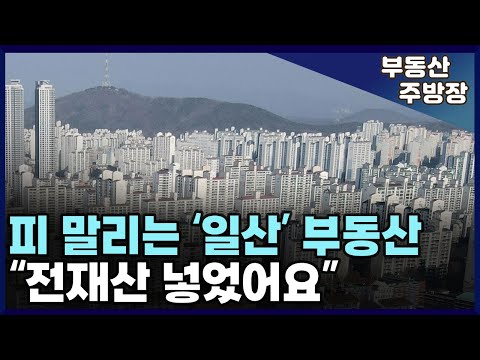 분노에 끓는 일산 집주인들. 잇따른 하락장에 발칵 뒤집어진 일산 아파트 (부동산 가격 집값 전망 상승 하락 폭락)