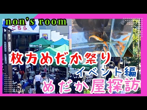 【メダカイベント】枚方めだか祭り悩みに悩んだ結果、、！