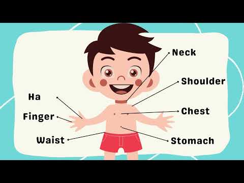 Learn Body Parts with Fun Rhymes! 🎶 | Eyes, Ears, Nose, and Toes 👂👃 | Kids Learning