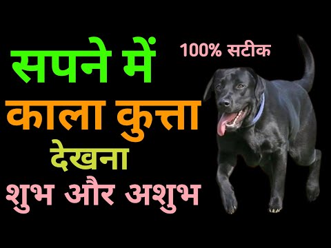 Sapne Me Kala Kutta Dekhne Ka Matlab | सपने मे काला कुत्ता दिखने का मतलब | Seeing Black Dog In Dream