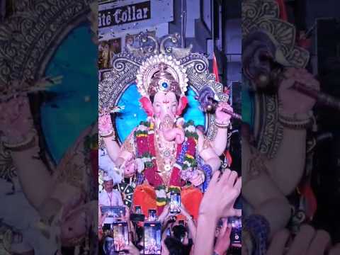 #panvelmarket Cha Raja Panvel 2024विसर्जनमिरवणूक #marketcharaja #lalbagcharaja #panvel