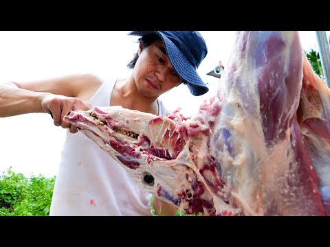 #64-A Boar Tortillas / Butchering Wild Boar Meat / Pickled Plums / Sudden Hunting