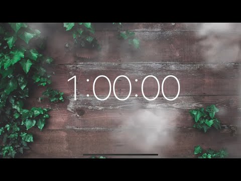 1 Hour Timer - Background Music for Work, Relax and Play