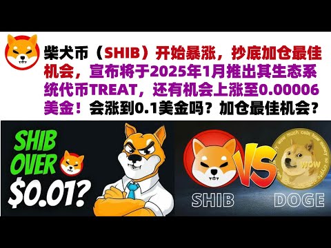 柴犬币（SHIB）开始暴涨，抄底加仓最佳机会，宣布将于2025年1月推出其生态系统代币TREAT，还有机会上涨至0.00006美金！会涨到0.1美金吗？加仓抄底最佳机会？柴犬币#屎币行情分析！