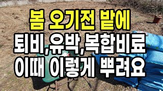 봄오기전 밭에 퇴비, 유박, 복합비료 이때 이렇게 뿌려요