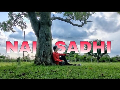 Nali Sadhi 🥰 || new cover song || Odia song || #pabar #babushanmohanty #odia #romanticstatus #love