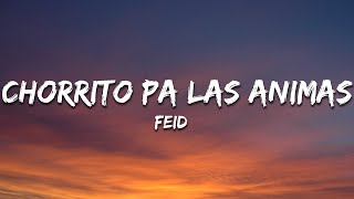 Feid - Chorrito Pa Las Animas (Letra/Lyrics)