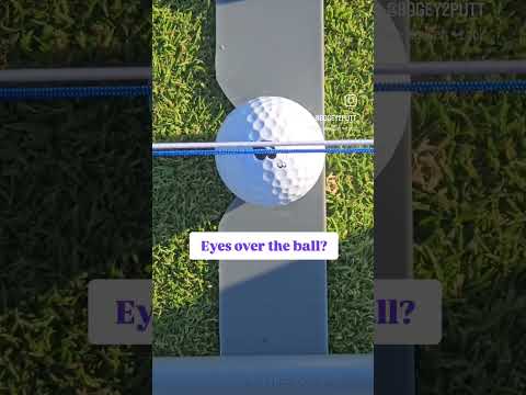 Do you line up putts with eyes over the ball? @purgolftraining #putt #puttputt #puttout