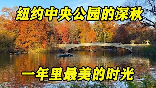 纽约中央公园的深秋 （New York Central Park） 一年里最美的时光