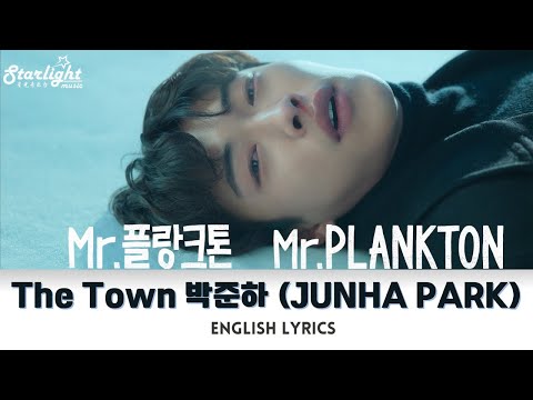 Mr Plankton 《Mr. 플랑크톤》 OST End Credit Song 「The Town」 박준하 JUNHA PARK 【English Lyrics】浮游先生 Netflix