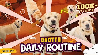 Chottu உடன் ஒரு நாள் 😁 | Chottu Daily Routine | Vlog 27 | Mr Chottu