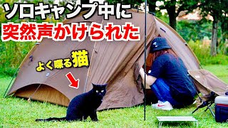 【猫乱入】ソロキャンプ中、野良猫がずっと話しかけてくる予想外の展開にキャンプどころじゃない！/ogawa GRAND lodge FIELD